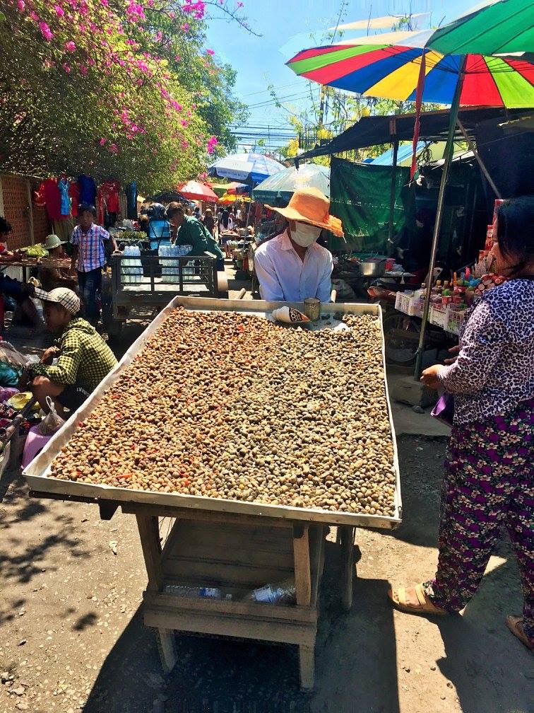 3511FEB6-89E0-44FB-9060-33915CBD5FC8