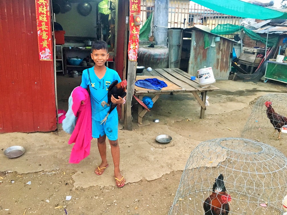 Local boys and his pet chickens